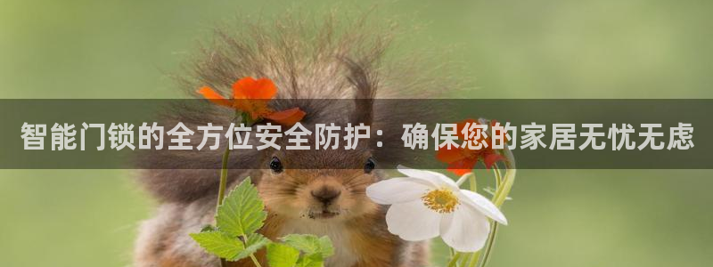 金进年会：智能门锁的全方位安全防护：确保您的家居无忧无虑