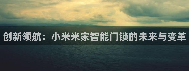 金年会安装：创新领航：小米米家智能门锁的未来与变革