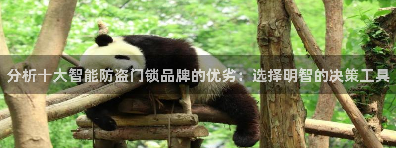金年会提款：分析十大智能防盗门锁品牌的优劣：选择明智的决策工