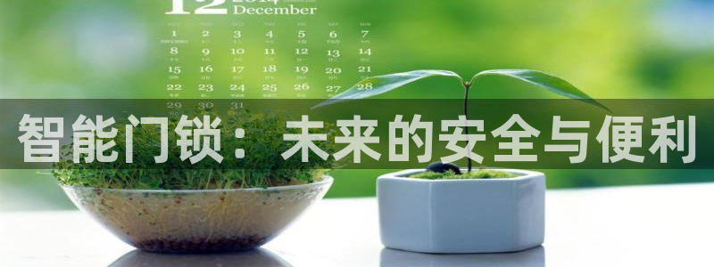 金年会VIP：智能门锁：未来的安全与便利