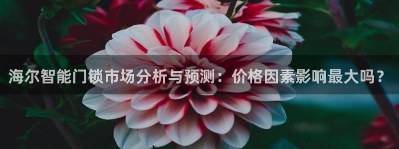 金年会提款：海尔智能门锁市场分析与预测：价格因素影响最大吗？