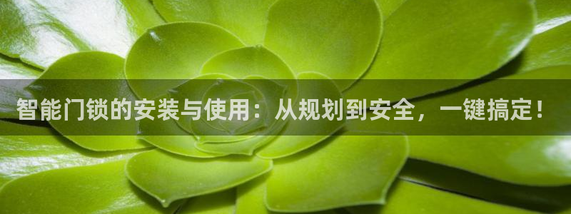 金年会娱乐和马竞：智能门锁的安装与使用：从规划到安全，一键搞