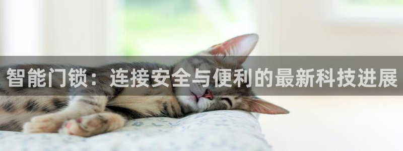 金年会手机网页版登录：智能门锁：连接安全与便利的最新科技进展