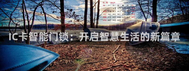 金年会游戏官网：IC卡智能门锁：开启智慧生活的新篇章