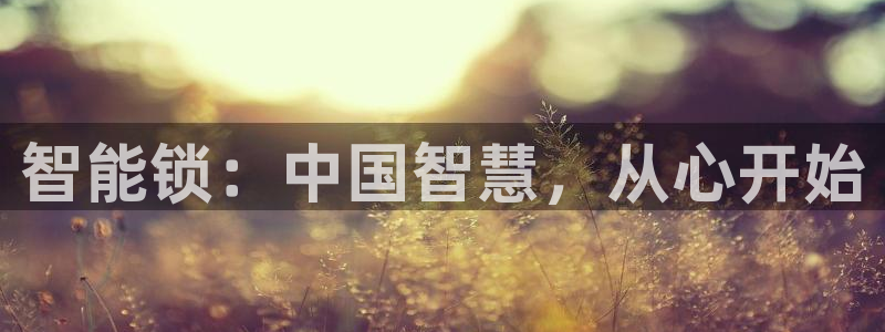 金年会.cc：智能锁：中国智慧，从心开始