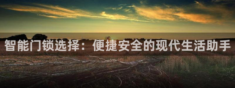 金哥年会：智能门锁选择：便捷安全的现代生活助手