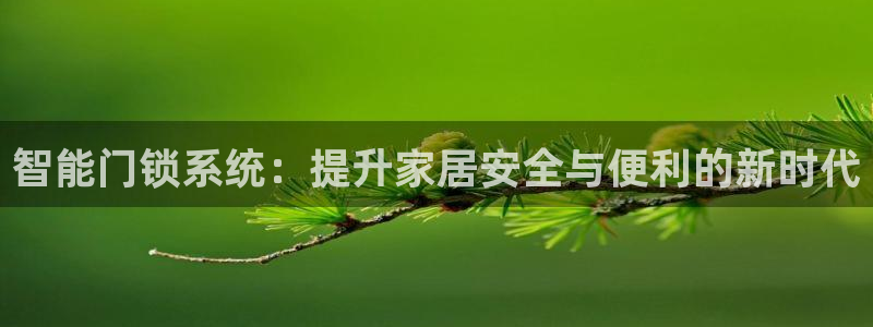 金年会彩票网址下载：智能门锁系统：提升家居安全与便利的新时代