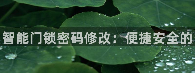 金年会体育官方下载：智能门锁密码修改：便捷安全的