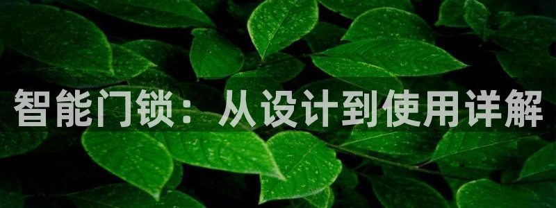 金年会官方在线登录：智能门锁：从设计到使用详解