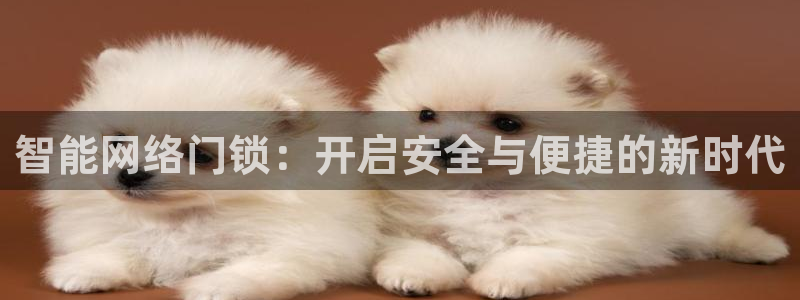 金年会娱乐：智能网络门锁：开启安全与便捷的新时代