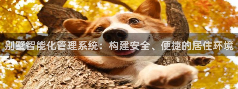 金年会体育在线入口：别墅智能化管理系统：构建安全、便捷的居住