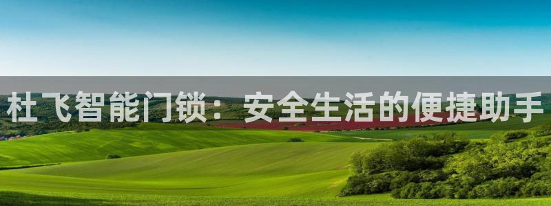 金帆年会2019：杜飞智能门锁：安全生活的便捷助手