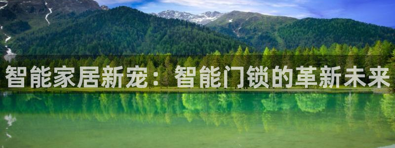 澳门与金年会的关系：智能家居新宠：智能门锁的革新未来