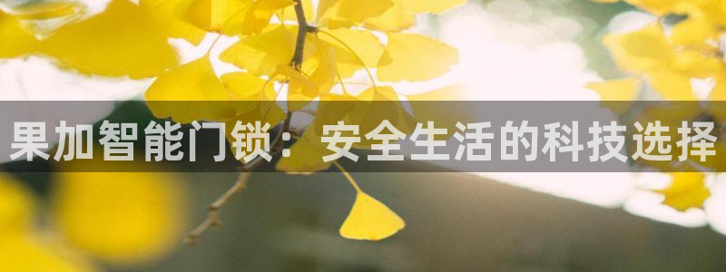 金年会能提款吗：果加智能门锁：安全生活的科技选择