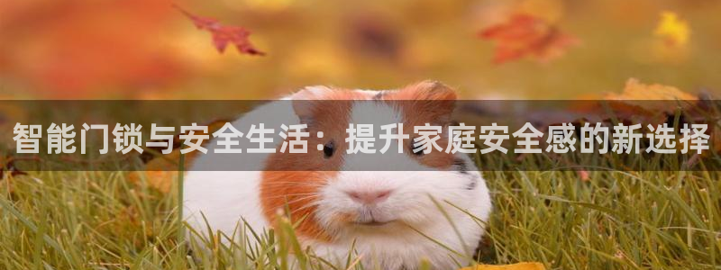 金年会金年会：智能门锁与安全生活：提升家庭安全感的新选择