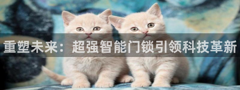 金年会官方客服电话：重塑未来：超强智能门锁引领科技革新