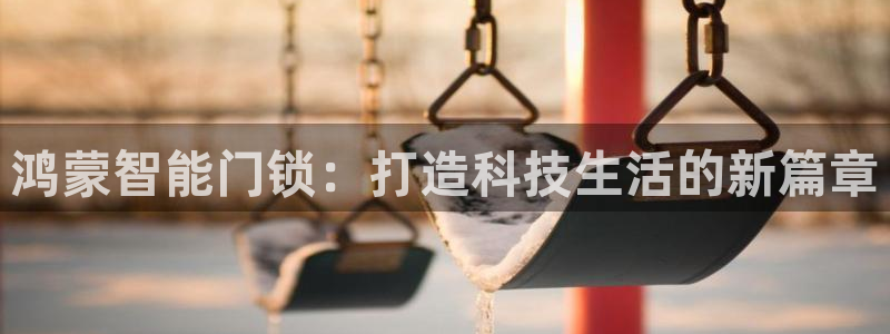 金年会活动策划：鸿蒙智能门锁：打造科技生活的新篇章