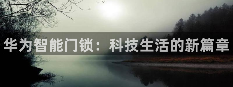 金年会手机网页登录：华为智能门锁：科技生活的新篇章