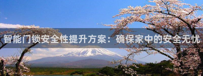 金年会下载：智能门锁安全性提升方案：确保家中的安全无忧