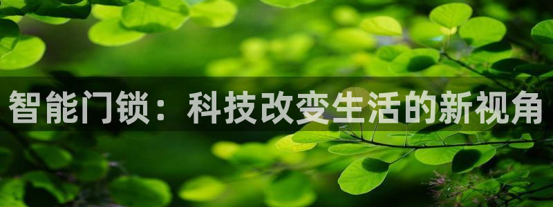 金年会赌博：智能门锁：科技改变生活的新视角