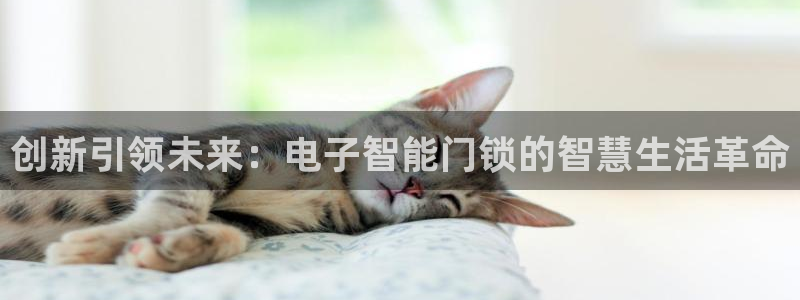 金年会提款：创新引领未来：电子智能门锁的智慧生活革命