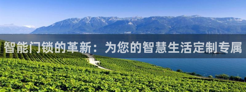 金顶年会：智能门锁的革新：为您的智慧生活定制专属