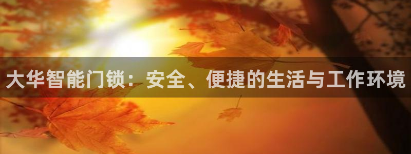 金顶年会：大华智能门锁：安全、便捷的生活与工作环境