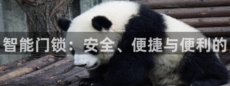 金年会官方网站下载