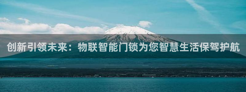 金年会在线入口：创新引领未来：物联智能门锁为您智慧生活保驾护