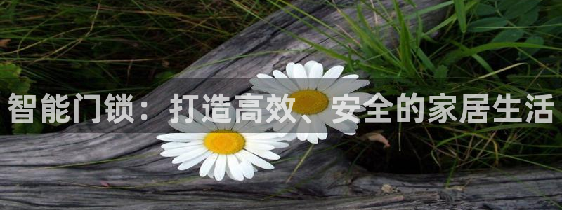 金年会6766001：智能门锁：打造高效、安全的家居生活