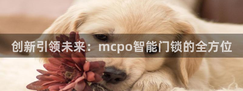金年会电子：创新引领未来：mcpo智能门锁的全方位