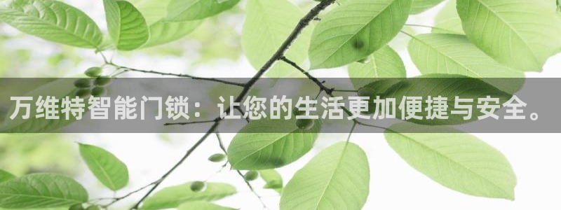 金年会嗨聊app下载：万维特智能门锁：让您的生活更加便捷与安
