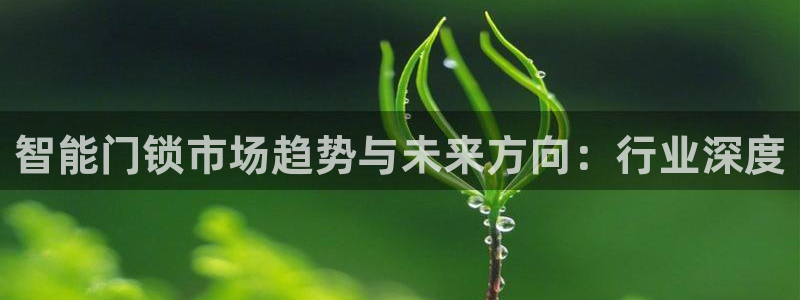金年会官网：智能门锁市场趋势与未来方向：行业深度