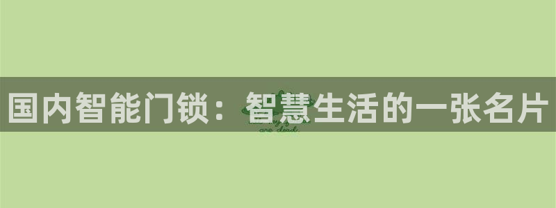 金年会手机网页登录：国内智能门锁：智慧生活的一张名片