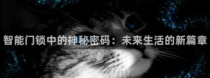 金年会体育平台入口：智能门锁中的神秘密码：未来生活的新篇章