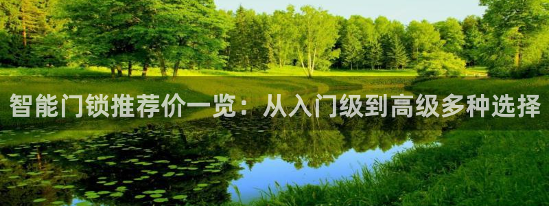 金辉城年会视频：智能门锁推荐价一览：从入门级到高级多种选择