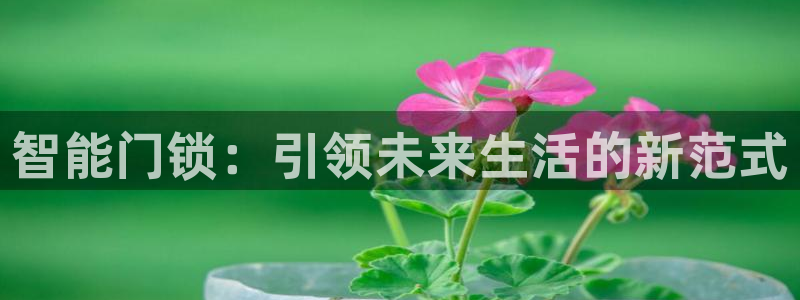 金年会app下载官网：智能门锁：引领未来生活的新范式