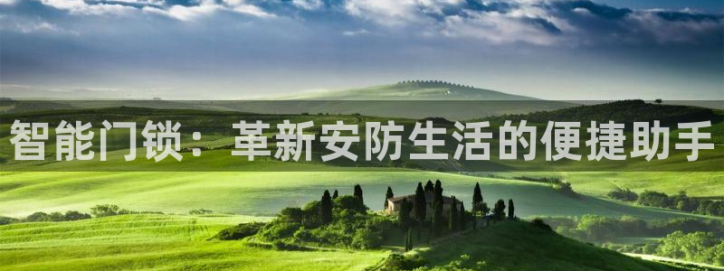 金年会体育官网：智能门锁：革新安防生活的便捷助手