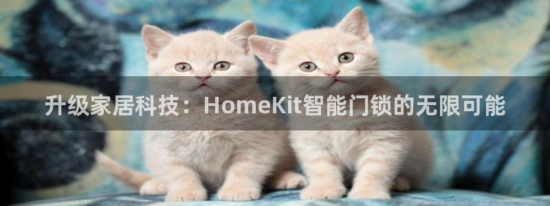 金年会6766：升级家居科技：HomeKit智能门锁的无限可