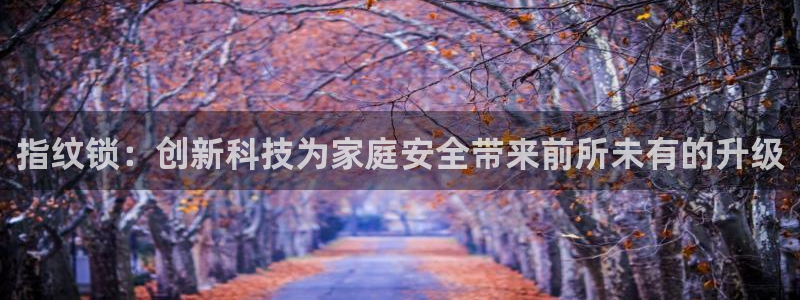 金年会足彩：指纹锁：创新科技为家庭安全带来前所未有的升级