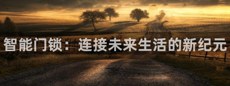 金年会和万博：智能门锁：连接未来生活的新纪元