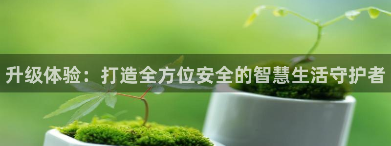 金年会娱乐提现：升级体验：打造全方位安全的智慧生活守护者