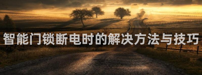 金诚集团年会：智能门锁断电时的解决方法与技巧