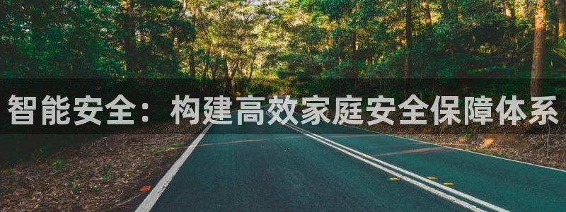 金年会注册：智能安全：构建高效家庭安全保障体系