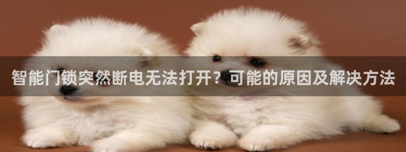金雅陶瓷年会现场：智能门锁突然断电无法打开？可能的原因及解决